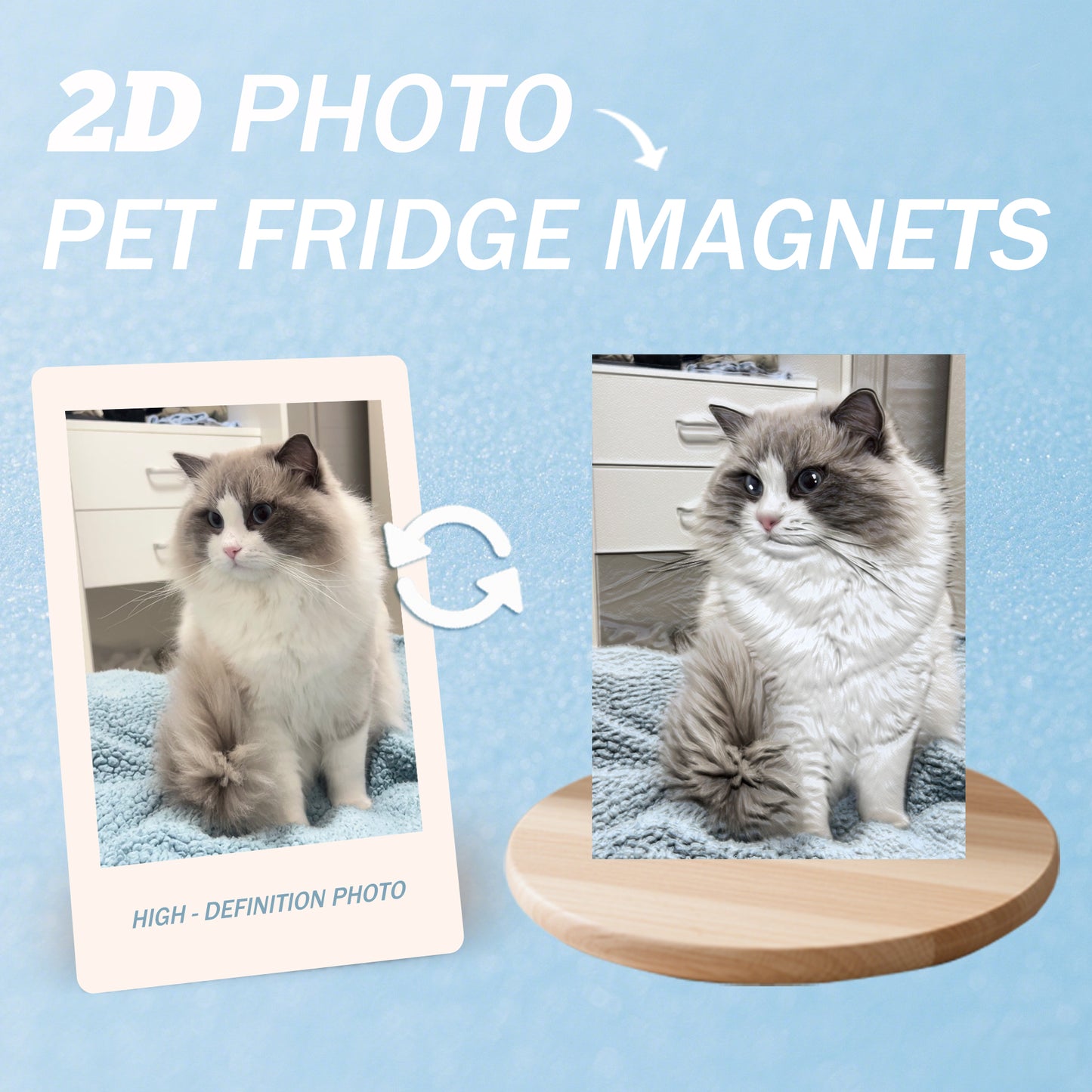 3D Fridge Magnets Made from 2D Photos
