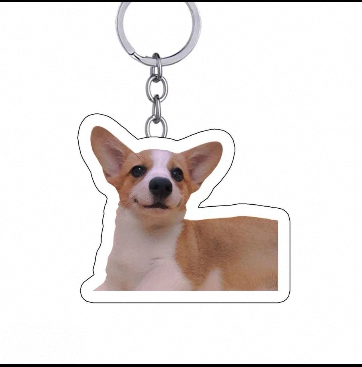 Custom Pet Photo Acrylic Keychains