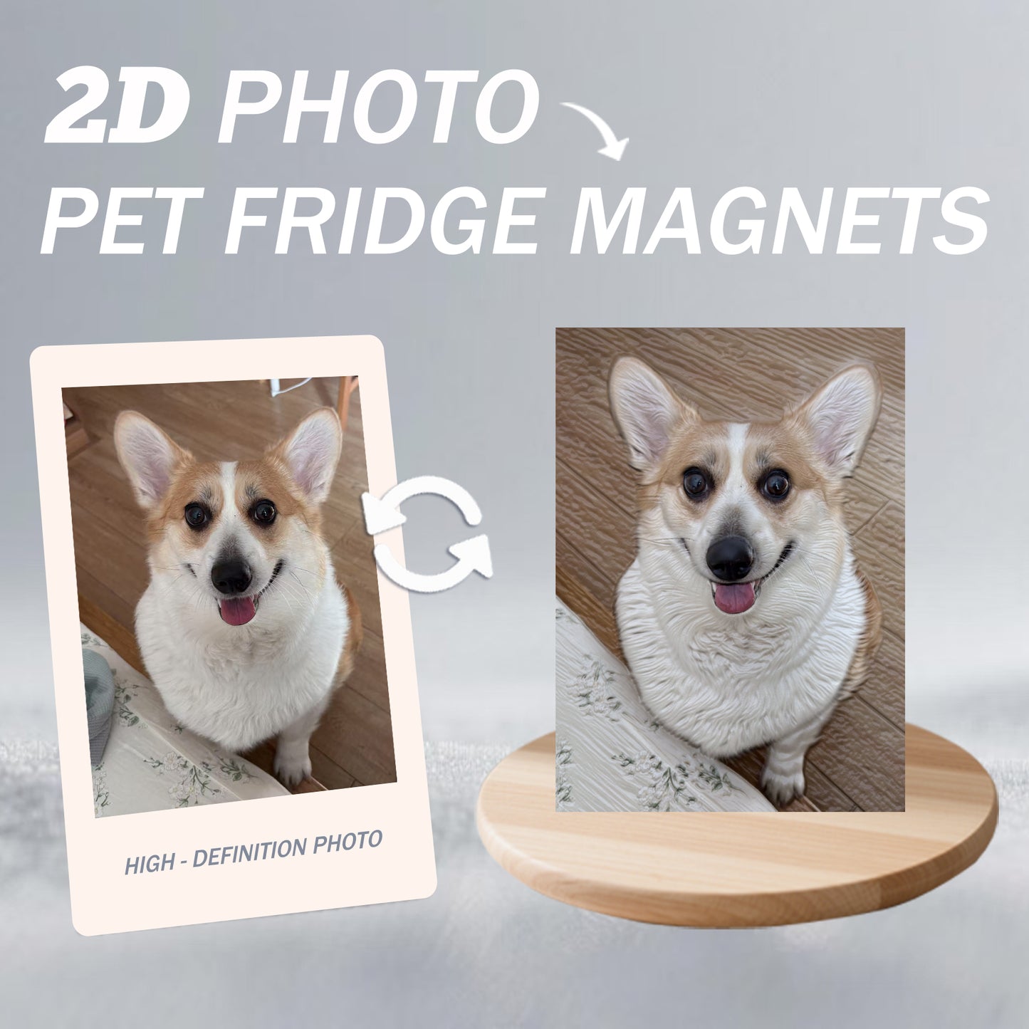 3D Fridge Magnets Made from 2D Photos