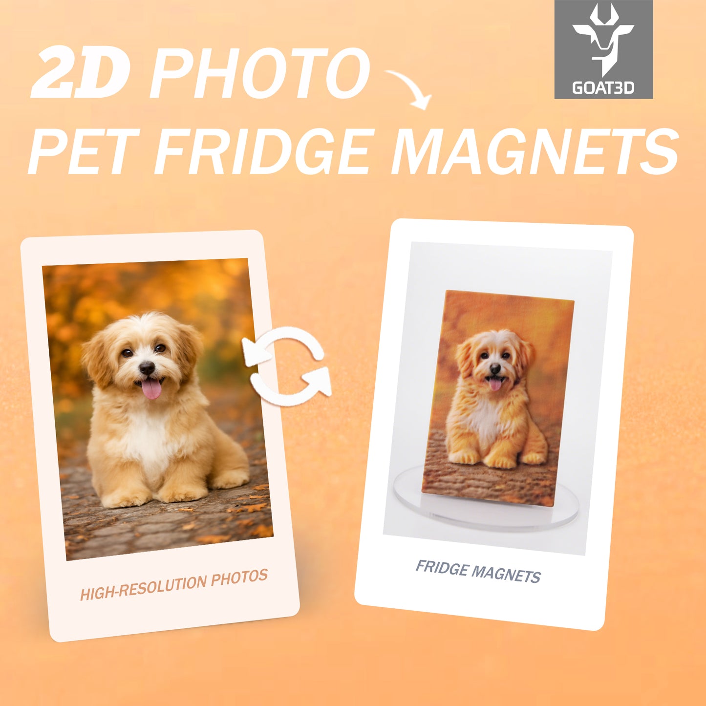 3D Fridge Magnets Made from 2D Photos