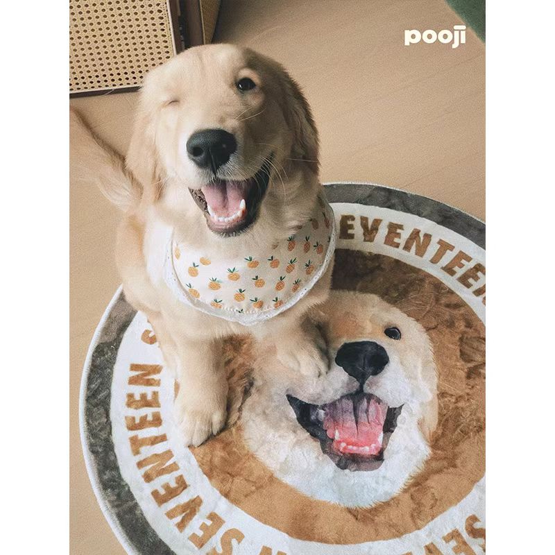 ‌Personalized Pet Portrait Rugs