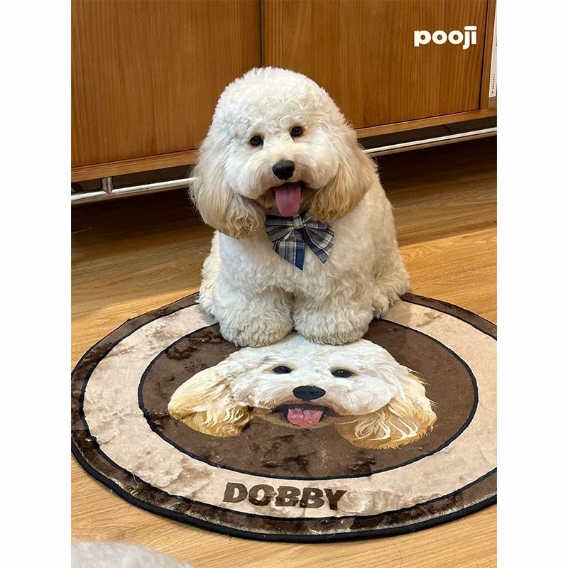 ‌Personalized Pet Portrait Rugs