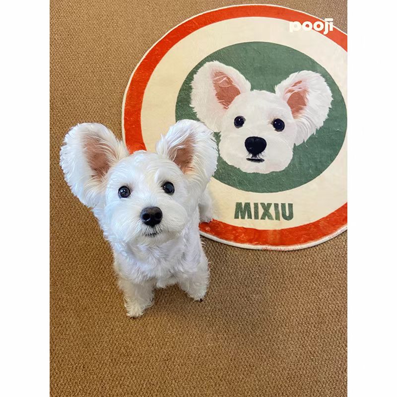 ‌Personalized Pet Portrait Rugs